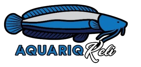 Aquariq Keli